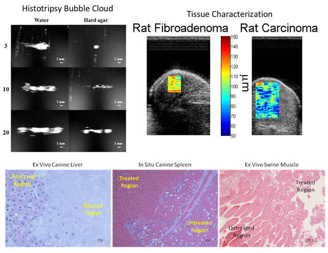 Timothy Bigelow research